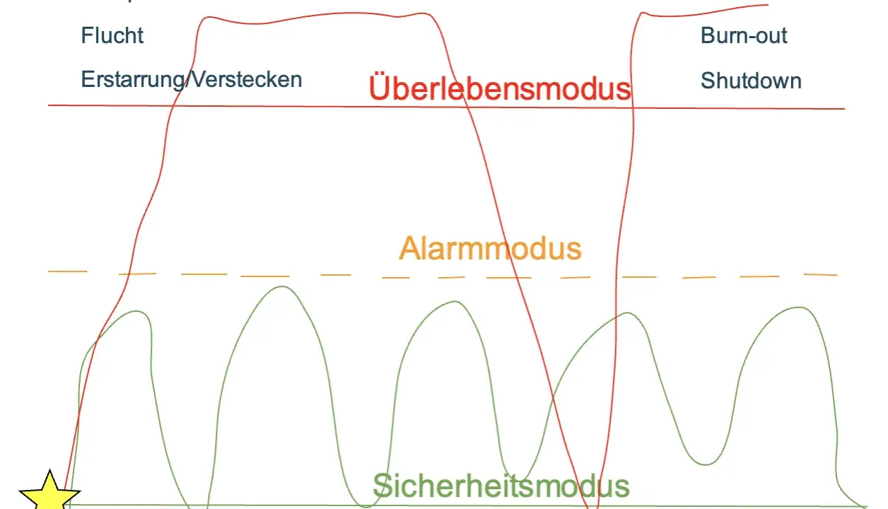Diagramm zeigt Zustände des Nervensystems: Kampf, Flucht, Erstarren, Alarmmodus, Überlebensmodus, Burn-out, Shutdown. Selbstregulation Nervensystem ist hier dargestellt.