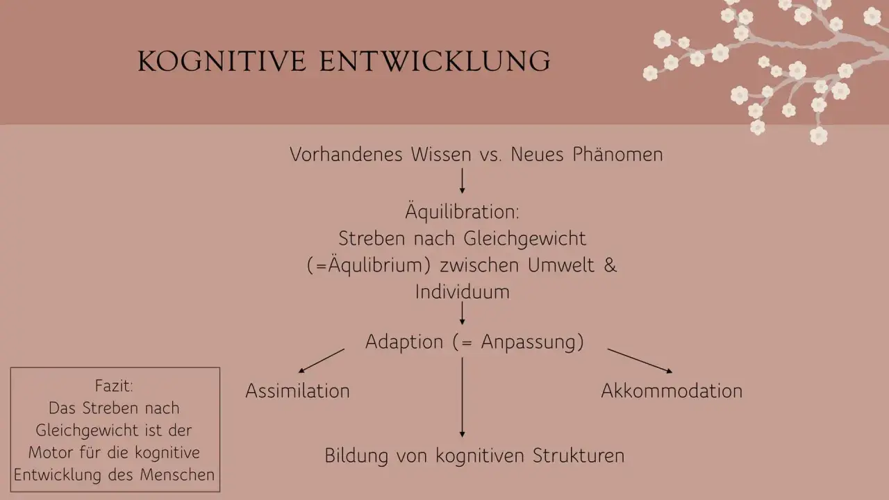 Piagets Theorie der kognitiven Entwicklung: Äquilibration als Streben nach Gleichgewicht, das durch Assimilation und Akkommodation zur Bildung neuer Strukturen führt.