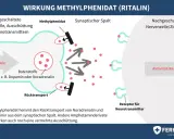 Schema zeigt, wie Methylphenidat (Ritalin) wirkt: Es blockiert die Wiederaufnahme von Dopamin/Noradrenalin. Erfahrungen mit Ritalin bei Kindern sind vielfältig.