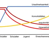 Diagramm zeigt, wie sich Unaufmerksamkeit, Impulsivität, Hyperaktivität und Komorbiditäten über die Lebensspanne entwickeln. Die Frage "wie lange dauert eine autismus diagnose" wird hier nicht direkt beantwortet, aber die Grafik illustriert die Entwick...