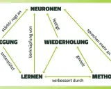 Schema zeigt, wie Bewegung, Wiederholung und Methoden das Lernen und die Neuronen beeinflussen. Hilft, sich diese Zusammenhänge besser zu merken.