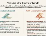 Vergleich von normaler Emotionalität und ADHS-Dysregulation. Die rechte Seite zeigt, wie ADHS-Wut schnell eskaliert, mit niedriger Regulationsschwelle und veränderter Zeitdynamik.