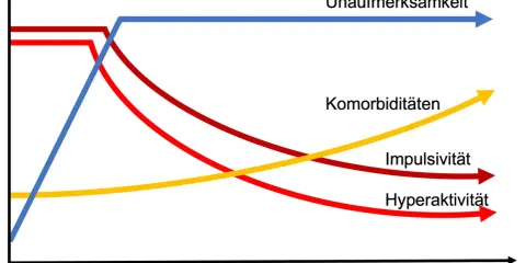 Diagramm zeigt, wie sich Unaufmerksamkeit, Impulsivität, Hyperaktivität und Komorbiditäten über die Lebensspanne entwickeln. Die Frage "wie lange dauert eine autismus diagnose" wird hier nicht direkt beantwortet, aber die Grafik illustriert die Entwick...