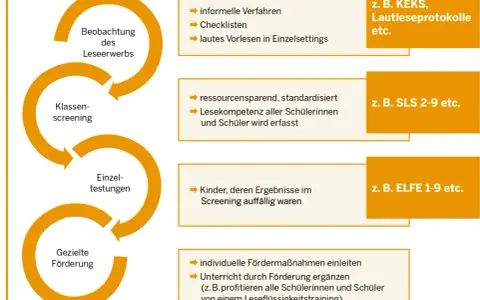 Prozess zur Förderung der Leseflüssigkeit: Beobachtung, Klassen-Screening, Einzeltestungen und gezielte Förderung, z.B. für die 3. Klasse.