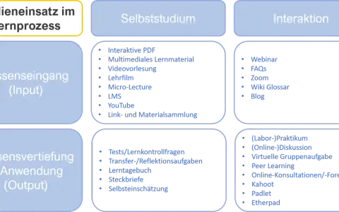 Schema zum Medieneinsatz im Lernprozess: Wissenseingang (Input), Selbststudium, Interaktion und Wissensvertiefung (Output) mit Beispielen.