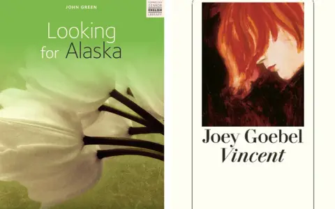 Zwei Coming-of-Age-Romane: "Looking for Alaska" von John Green mit einer weißen Blüte und "Vincent" von Joey Goebel mit einem Porträt.