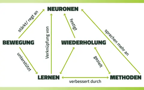 Schema zeigt, wie Bewegung, Wiederholung und Methoden das Lernen und die Neuronen beeinflussen. Hilft, sich diese Zusammenhänge besser zu merken.