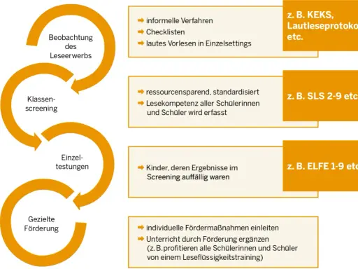 Prozess zur Förderung der Leseflüssigkeit: Beobachtung, Klassen-Screening, Einzeltestungen und gezielte Förderung, z.B. für die 3. Klasse.