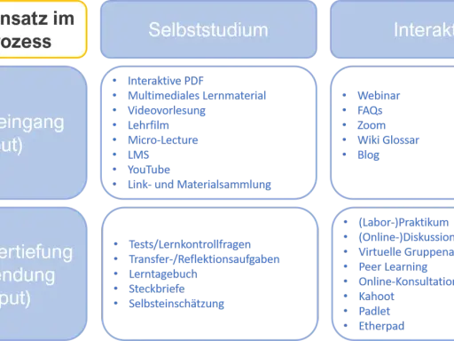 Schema zum Medieneinsatz im Lernprozess: Wissenseingang (Input), Selbststudium, Interaktion und Wissensvertiefung (Output) mit Beispielen.