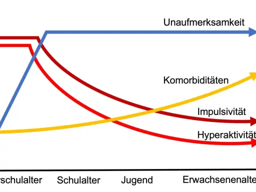 Diagramm zeigt, wie sich Unaufmerksamkeit, Impulsivität, Hyperaktivität und Komorbiditäten über die Lebensspanne entwickeln. Die Frage "wie lange dauert eine autismus diagnose" wird hier nicht direkt beantwortet, aber die Grafik illustriert die Entwick...