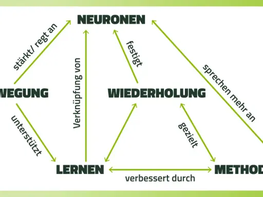 Schema zeigt, wie Bewegung, Wiederholung und Methoden das Lernen und die Neuronen beeinflussen. Hilft, sich diese Zusammenhänge besser zu merken.