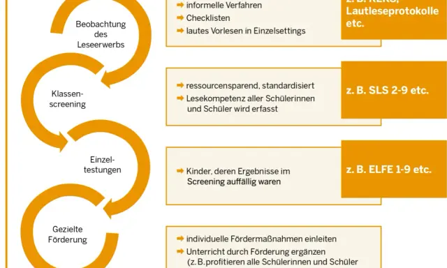 Prozess zur Förderung der Leseflüssigkeit: Beobachtung, Klassen-Screening, Einzeltestungen und gezielte Förderung, z.B. für die 3. Klasse.