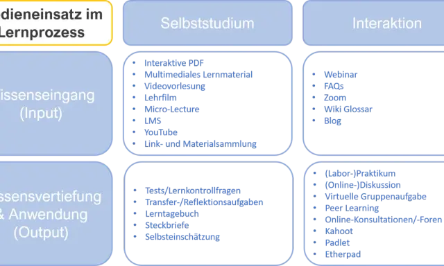 Schema zum Medieneinsatz im Lernprozess: Wissenseingang (Input), Selbststudium, Interaktion und Wissensvertiefung (Output) mit Beispielen.