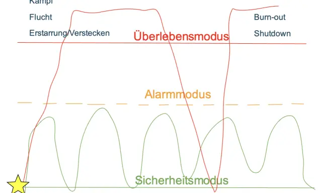 Diagramm zeigt Zustände des Nervensystems: Kampf, Flucht, Erstarren, Alarmmodus, Überlebensmodus, Burn-out, Shutdown. Selbstregulation Nervensystem ist hier dargestellt.