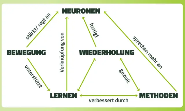 Schema zeigt, wie Bewegung, Wiederholung und Methoden das Lernen und die Neuronen beeinflussen. Hilft, sich diese Zusammenhänge besser zu merken.