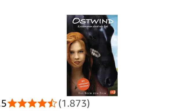 Das Buch "Ostwind - Zusammen sind wir frei" mit einem Mädchen und einem Pferd. Die Autorin hat eine wundervolle Geschichte geschrieben.