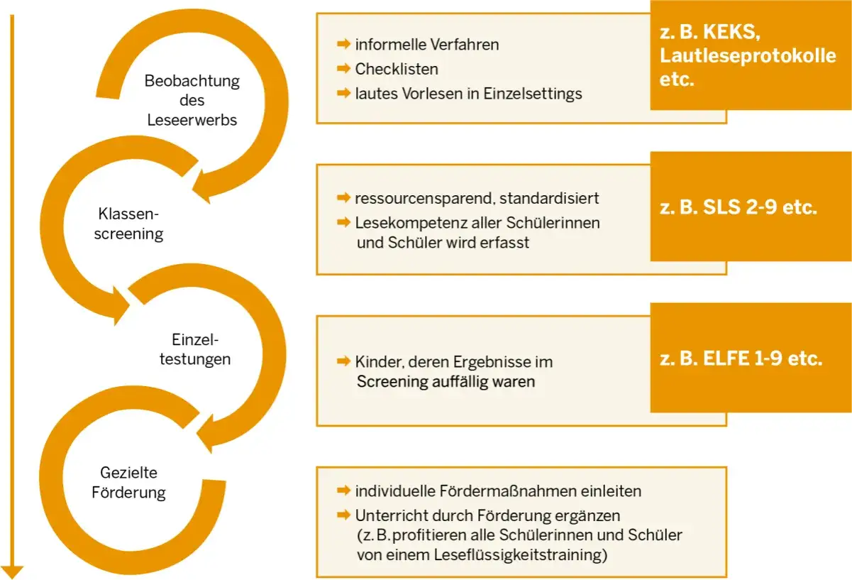 Prozess zur F&ouml;rderung der Lesefl&uuml;ssigkeit: Beobachtung, Screening, Tests, gezielte F&ouml;rderung. Ideal f&uuml;r die Lesegeschwindigkeit 3. Klasse.